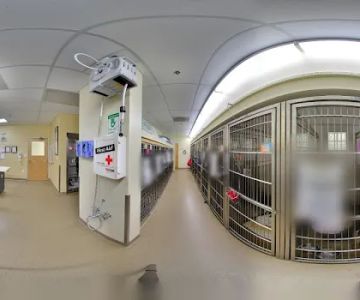 Veterinary Specialty Hospital of San Diego