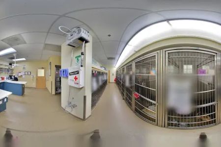 Veterinary Specialty Hospital of San Diego