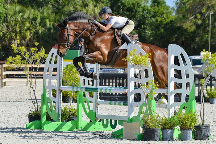 Blair Armon DVM 1