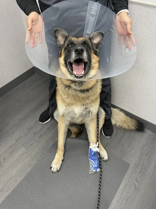 VCA Animal Hospitals Urgent Care - Skokie 1