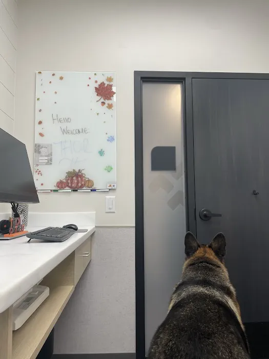 VCA Animal Hospitals Urgent Care - Skokie 2