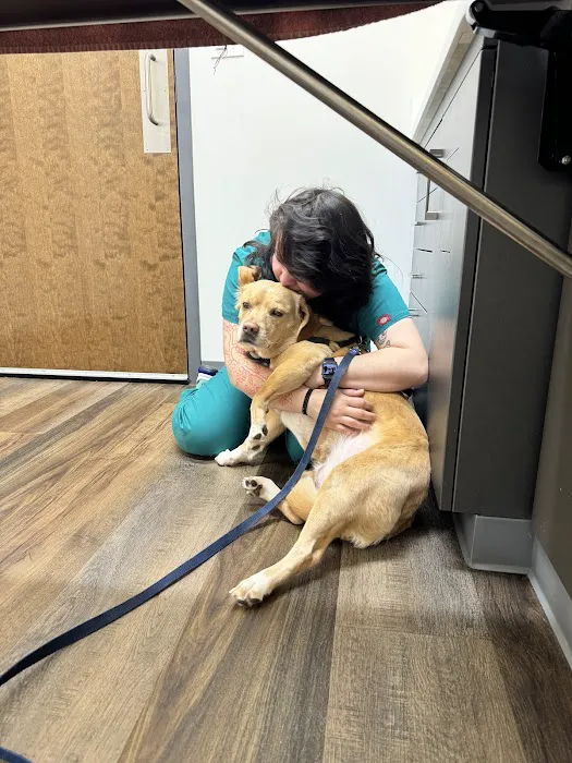 My Neighborhood Vet 2