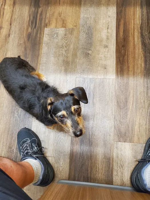 My Neighborhood Vet 3