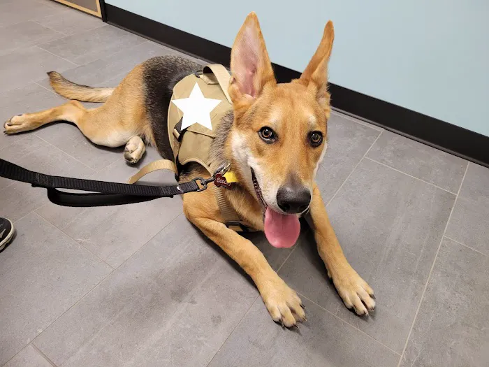 Banfield Pet Hospital 12