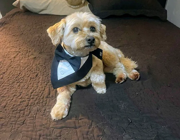 Banfield Pet Hospital 12