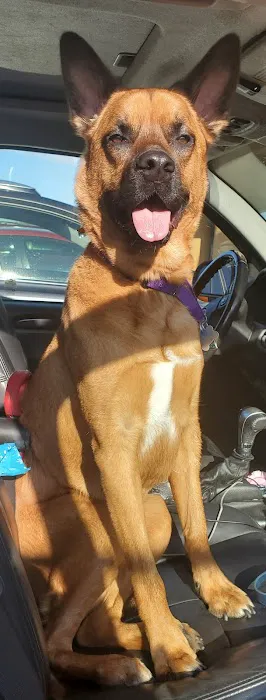 Banfield Pet Hospital 12
