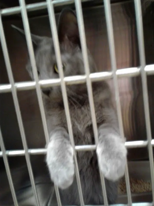 Banfield Pet Hospital 12