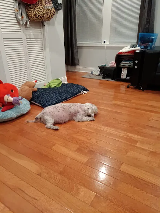 Banfield Pet Hospital 12