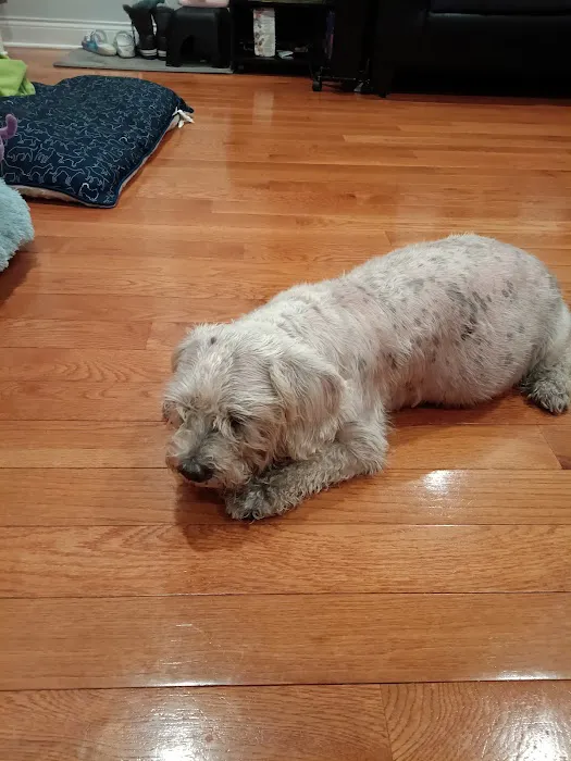 Banfield Pet Hospital 12