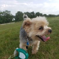 Park Animal Hospital ico