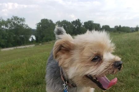 Park Animal Hospital