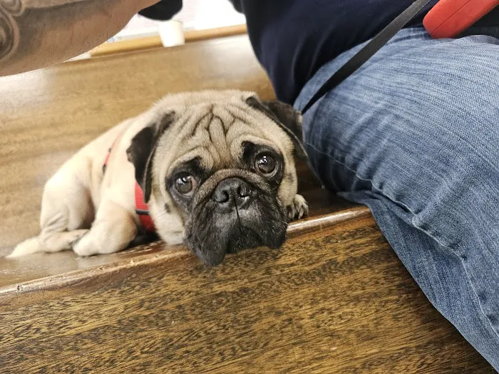 Park Animal Hospital 12