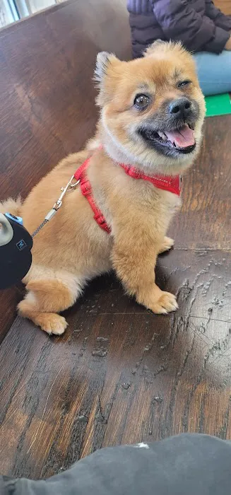 Park Animal Hospital 12