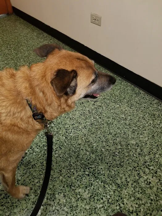 Park Animal Hospital 12
