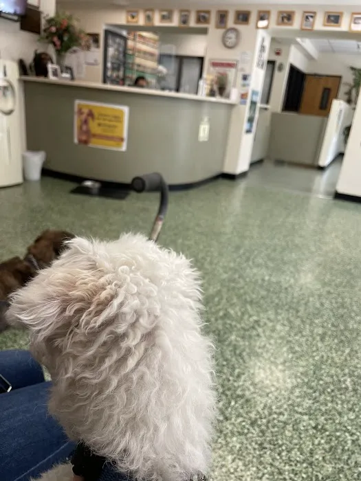 Park Animal Hospital 12