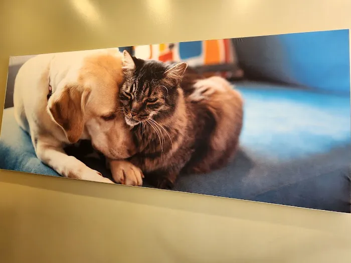 Vetco Total Care Animal Hospital 12