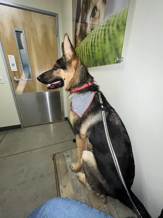 Vetco Total Care Animal Hospital 12