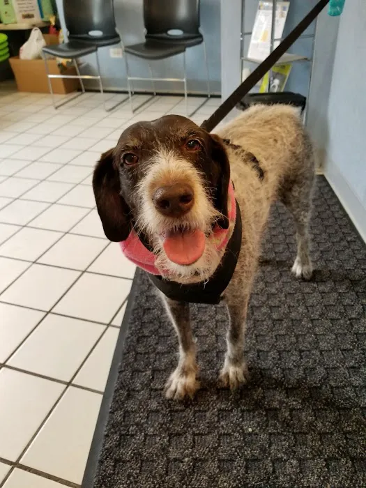 Abell Animal Hospital 3