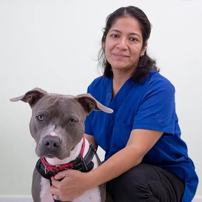 Abell Animal Hospital 2