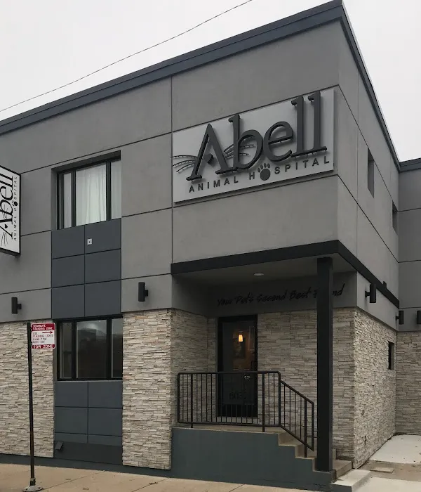 Abell Animal Hospital 4