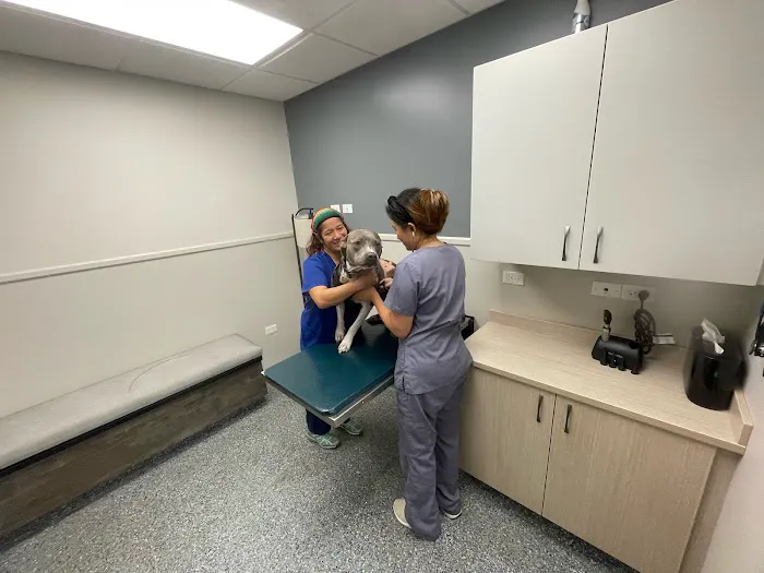 Abell Animal Hospital 9