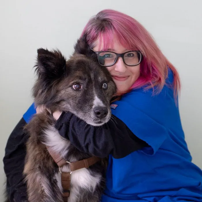 Abell Animal Hospital 7