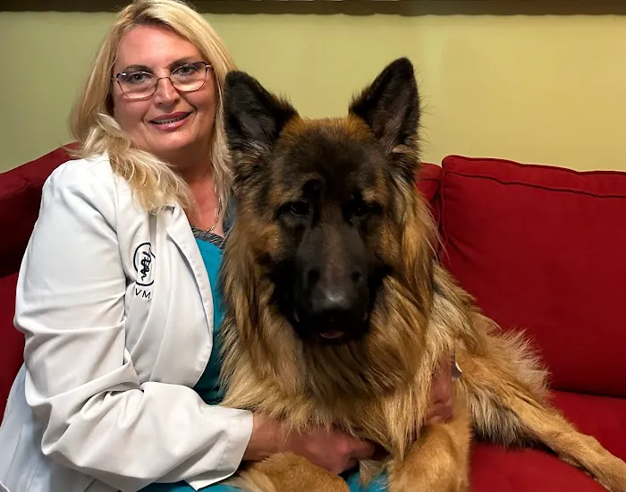 Abell Animal Hospital 8