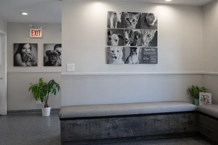 Abell Animal Hospital 6