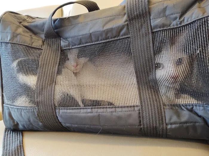 TLC First Animal Hospital 1