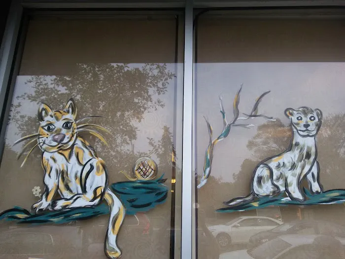 TLC First Animal Hospital 6