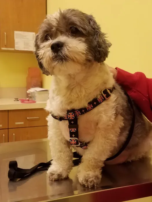 TLC First Animal Hospital 2