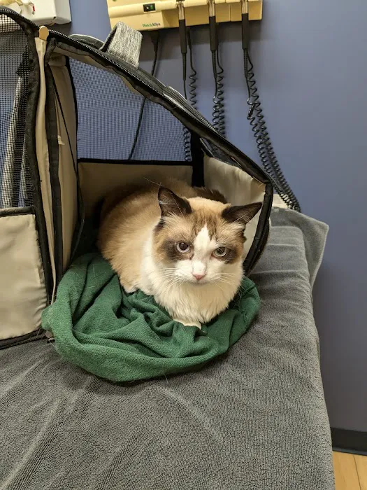 Riser Animal Hospital 12