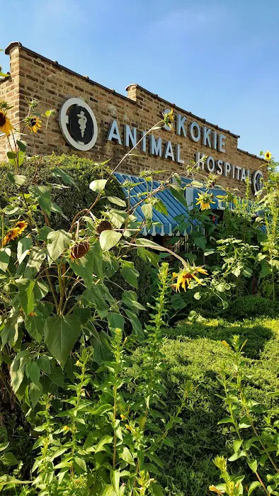 Skokie Animal Hospital 12
