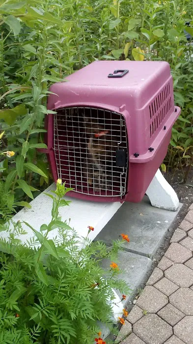 Skokie Animal Hospital 12