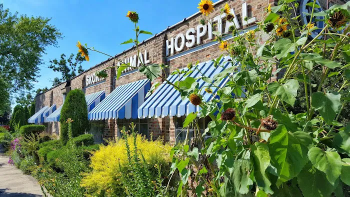 Skokie Animal Hospital 12