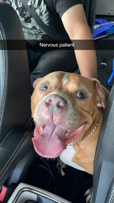 Niles Animal Hospital 12