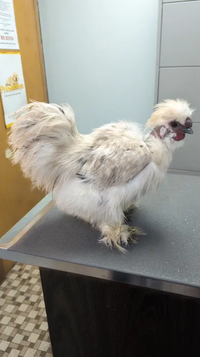 Niles Animal Hospital 12