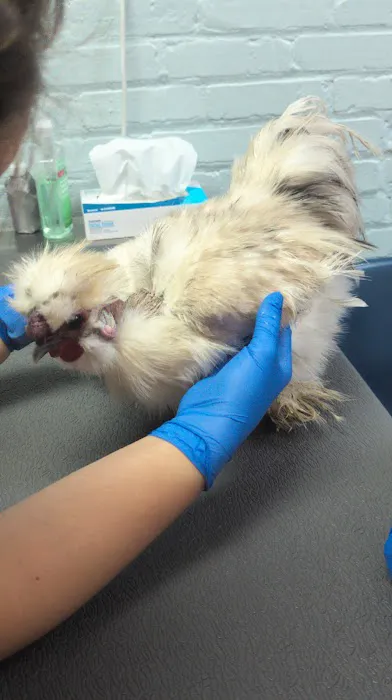Niles Animal Hospital 12