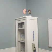 Lavitt Animal Hospital ico