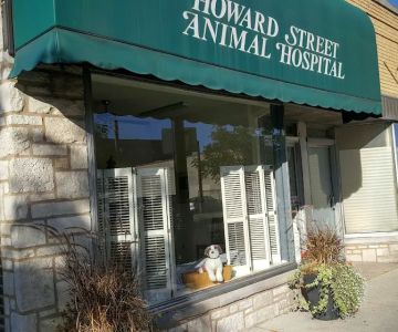 Howard Street Animal Hospital