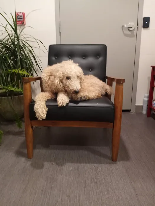 Southwestern Animal Hospital 1