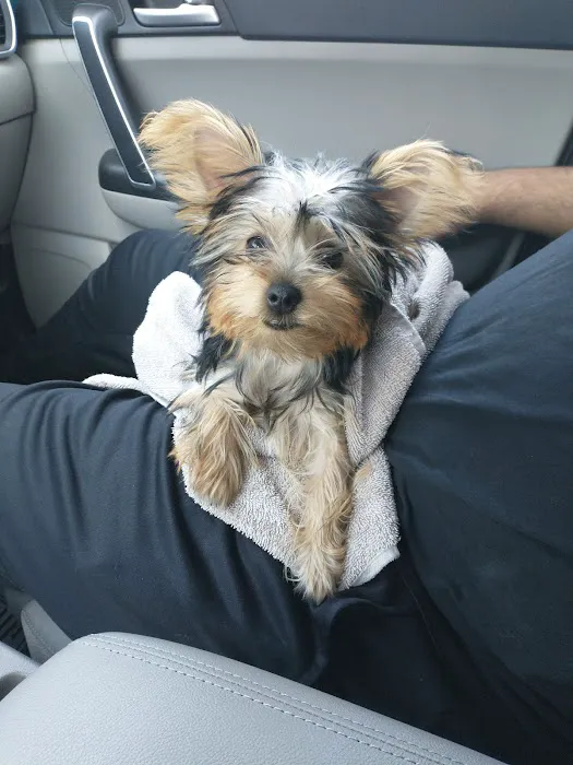 Marquette Animal Hospital 5
