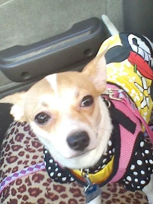 Marquette Animal Hospital 9