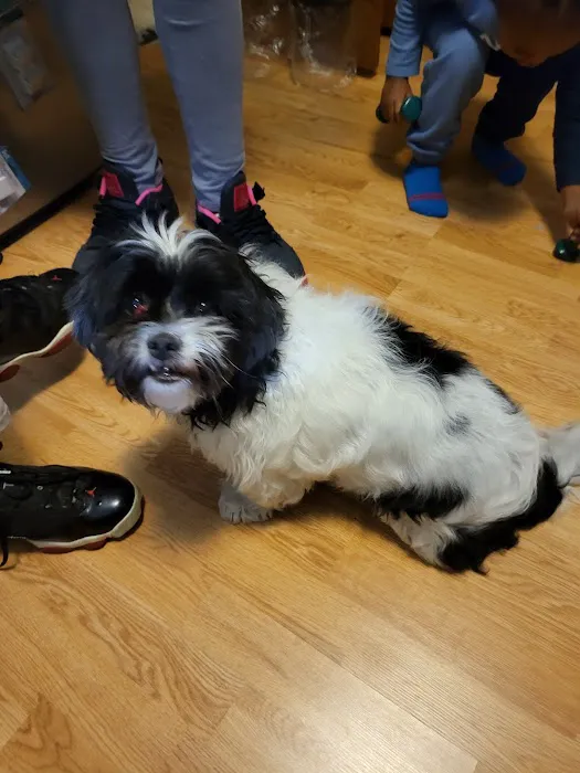 Woodlawn Animal Hospital 12