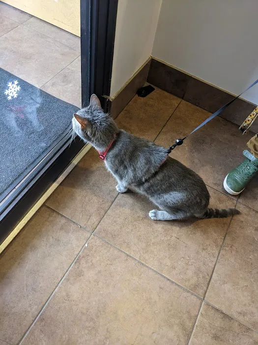 Hyde Park Animal Hospital -Stony Island 1