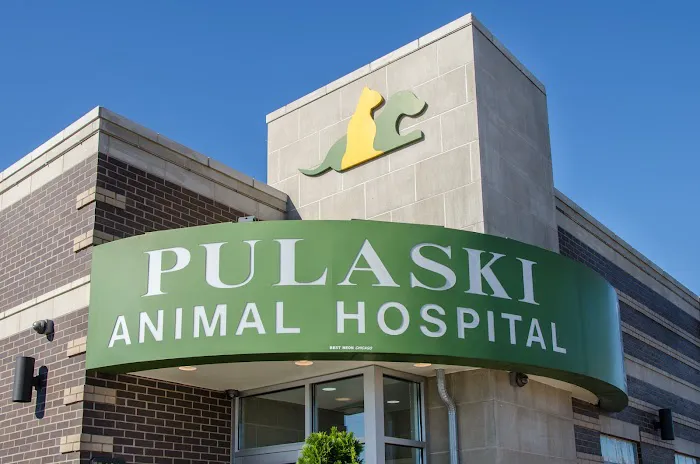 Pulaski Animal Hospital 12
