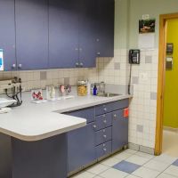 Pulaski Animal Hospital ico