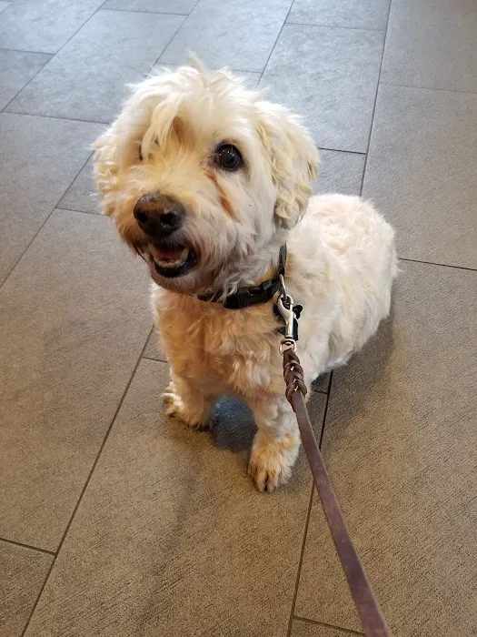 Pulaski Animal Hospital 12