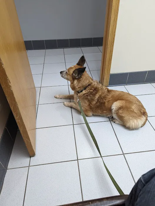 Scottsdale Animal Clinic 12