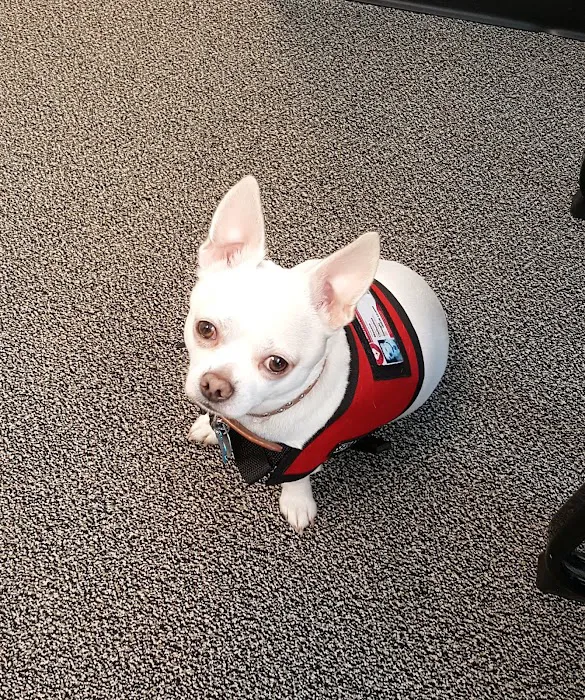 Scottsdale Animal Clinic 12